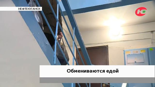 Нефтеюганцы запустили группу по обмену едой смотреть онлайн