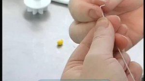 Галилео. Съедобная одежда  Edible clothes