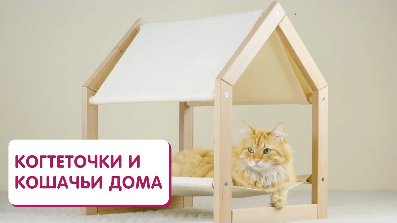 Когтеточки, полочки и кошачьи домики - чем порадовать кота смотреть онлайн