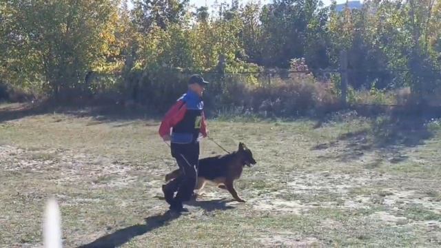 1 Оч/хор Граница Миллениум САХАЛИН им №42 / КЧК РОСТОВ-НА-ДОНУ 29 сентября`24