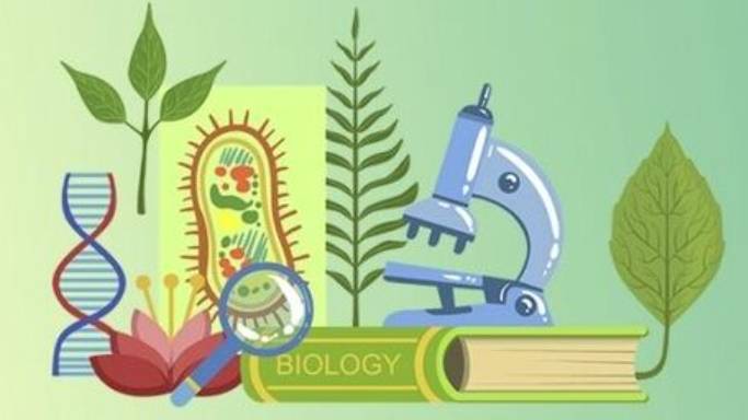 Биология 11 класс. Генетическое равновесие в популяциях его нарушение.-- смотреть онлайн
