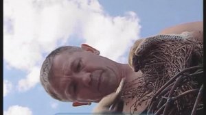 Галилео. Скульптуры из веток