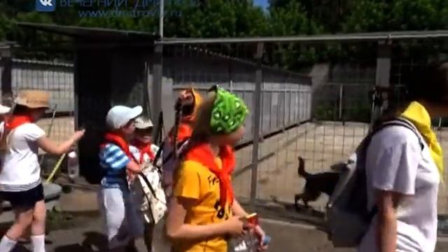 Дети и кинологи