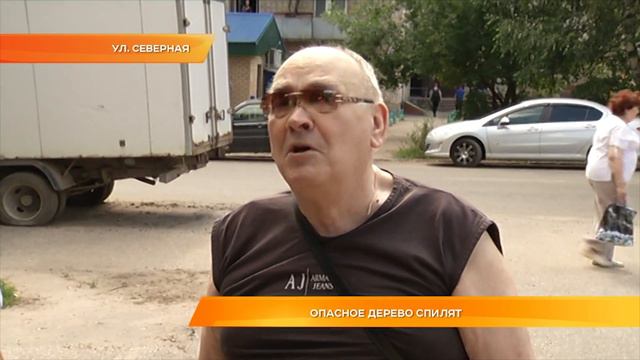 Опасное дерево спилят смотреть онлайн