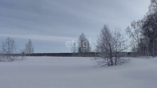 10678433 смотреть онлайн