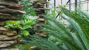 Ботанический сад