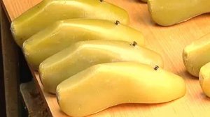 Галилео  Какая обувь живёт меньше всего?