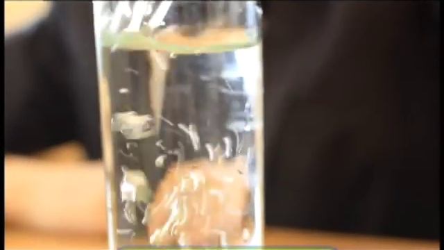 Галилео. Спорщики (ч.3) смотреть онлайн