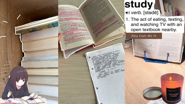 Study with me/ Японский, английский и био /стади виз ми