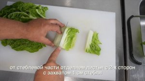 Пекинская капуста: обработка и разделка