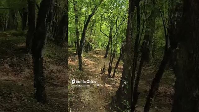 Свобода быть собой! #психология #красота #топ #медитация смотреть онлайн