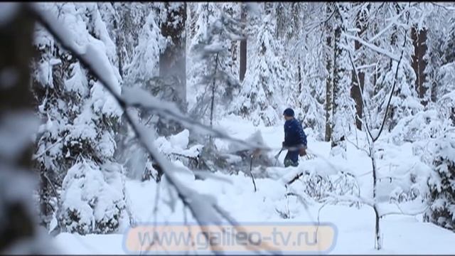 Галилео. Тренировка космонавтов (часть 2) смотреть онлайн