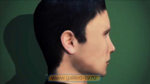 Проверено «Галилео» (часть 9). Отпугиватели насекомых