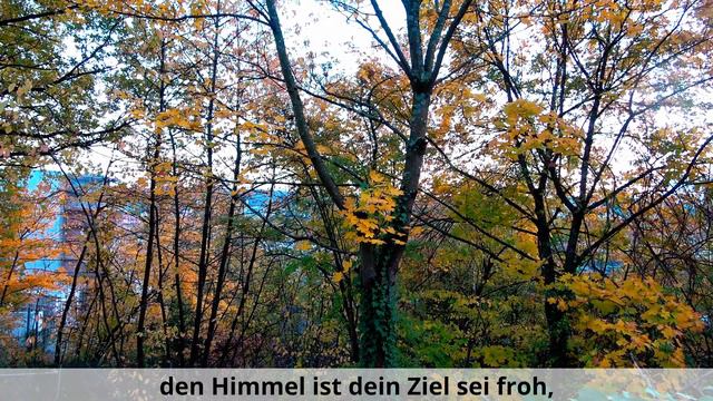 I WROTE A POEM IN GERMAN | Nikita Haupt смотреть онлайн