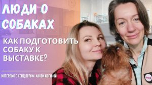 Как подготовить собаку к выставке самостоятельно? | Интервью с хендлером Анной Жогиной