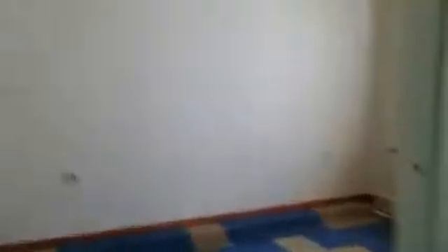 Северск 161 дом смотреть онлайн