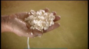 Галилео. Костромской сыр