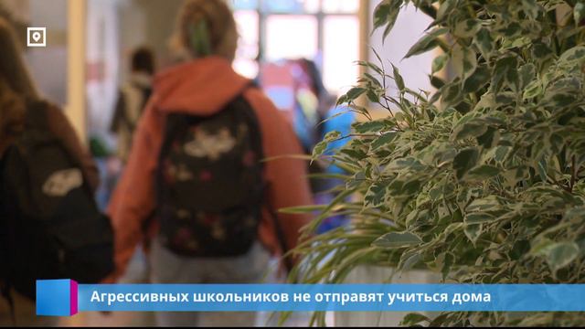 Агрессивных школьников не отправят учиться дома смотреть онлайн