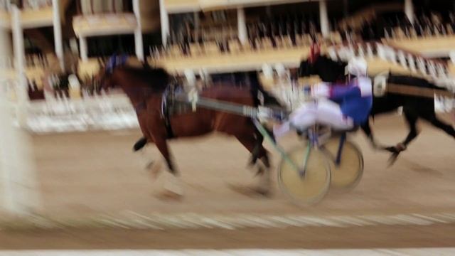 Антон Дурнопьянов - наездник (МИР24)