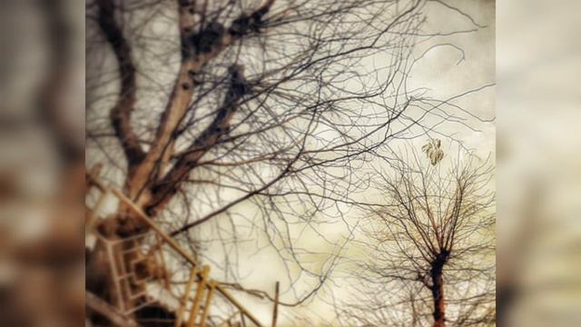 The last leaf in Malayalam смотреть онлайн