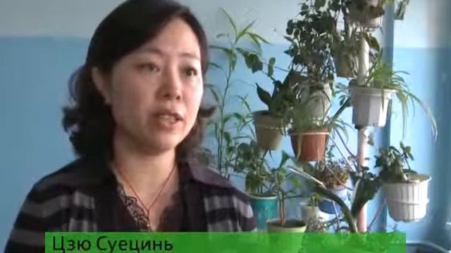Семинар для учителей китайского языка смотреть онлайн