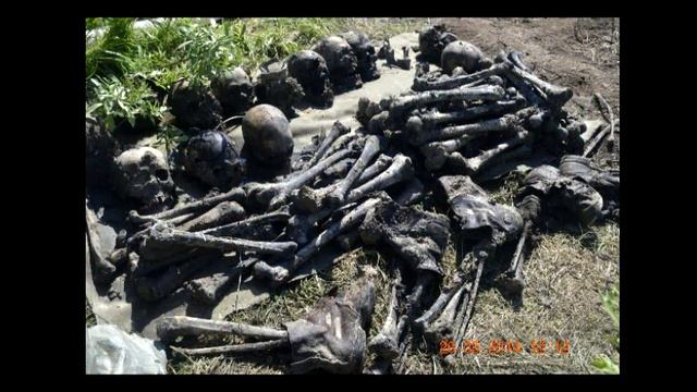 ПОИСКОВЫЙ ОТРЯД ЭСКАДРОН смотреть онлайн