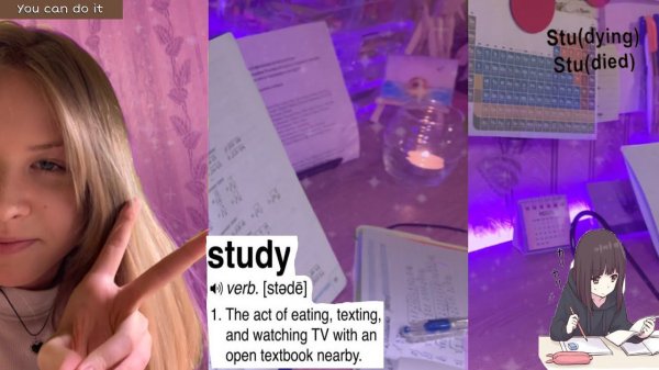 Study with me/*new*/ Стади Виз ми#31|Sofi Engeleva