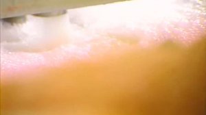 Галилео. Готовая еда