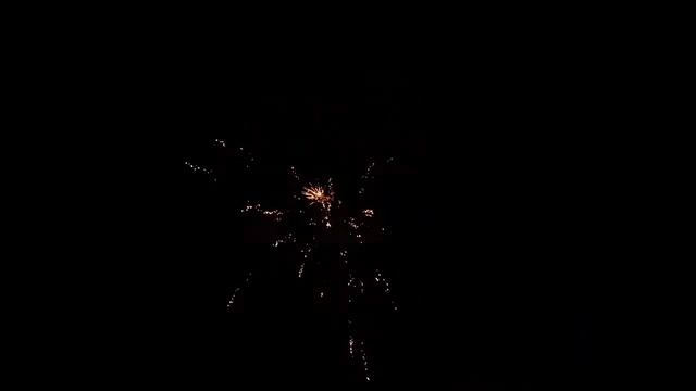 CL023 ЭЛЕГИЯ 0 8х100 смотреть онлайн