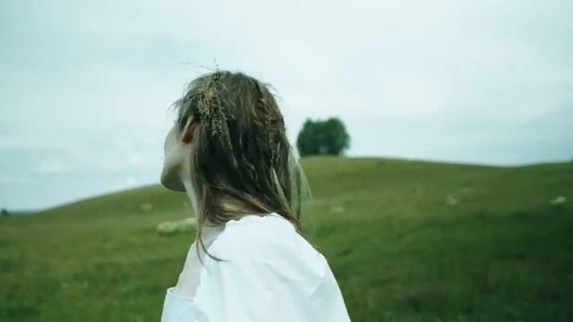 Acceler-Dreamer