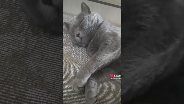 Готовится к ночному рандеву смотреть онлайн