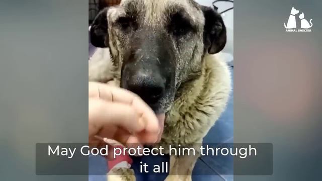 I cried helplessly when I saw him lying there, no one stopped to help us смотреть онлайн