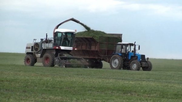 ДОН 680М МТЗ 1221 с ПИМ 40 на заготовке сенажа.
