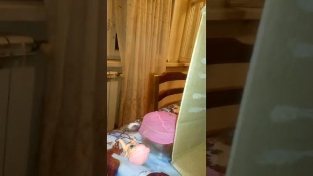 Как сделать дом для куклы лол из каробки смотреть онлайн