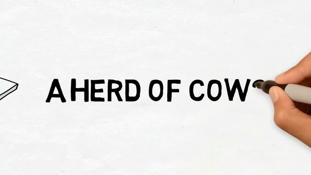 Собирательные существительные | Collective Nouns