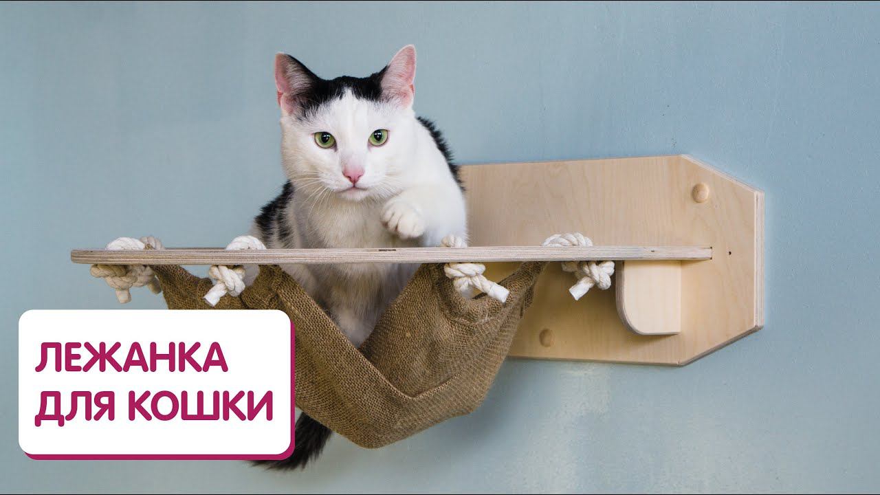 Кошачий гамак или лежанка для кота смотреть онлайн