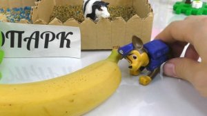 Мультик Ам Ням и Щенячий Патруль играют с животными в Зоопарке! Сборник Мультиков.