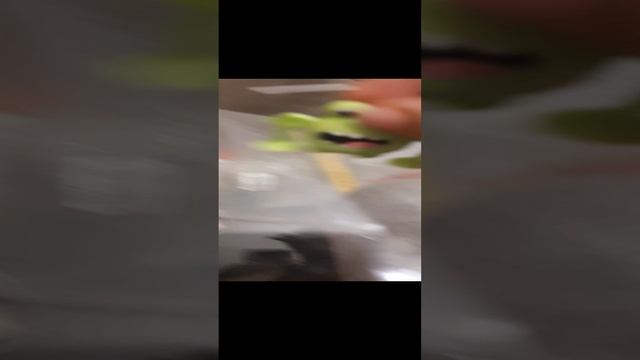 2024 ОООООООООООООО с телефона смотреть онлайн