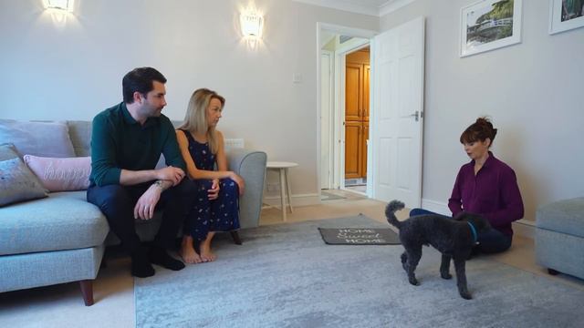 Dog Launches an Attack on Baby😱 | It's Me or The Dog смотреть онлайн