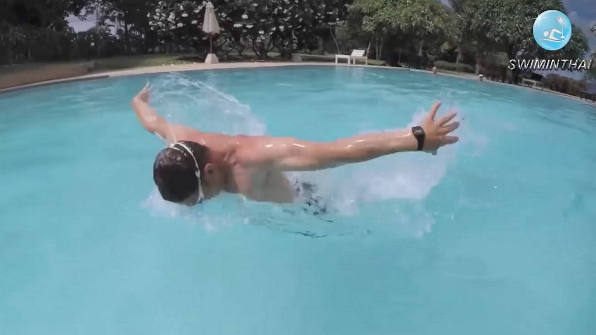 Баттерфляй. Обучение плаванию смотреть онлайн