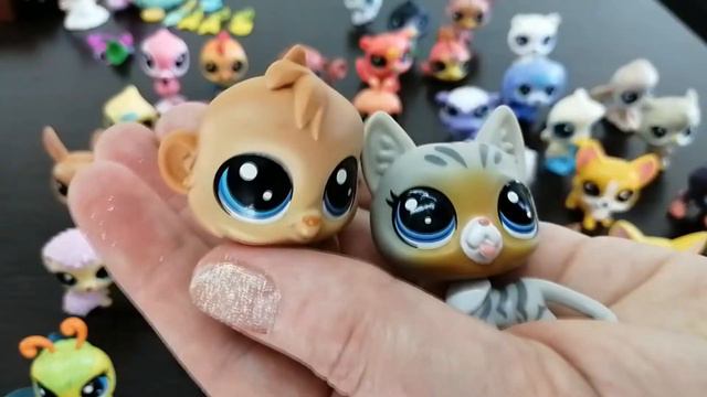 Обзор коллекции маленьких шарнирных игрушек Littlest Pet Shop (LPS) от  Hasbro.