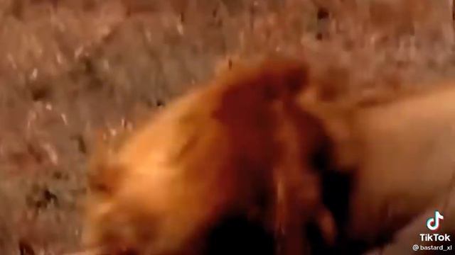 Может ли мужчина любить чужих детей? РСП. ОЖП. Аленизм. Прозрение и просвещение. смотреть онлайн