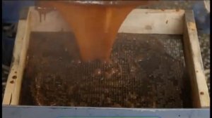 Галилео. Помадка