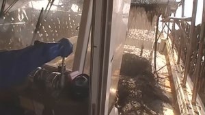 Галилео  Нори - водоросли для суши и роллов