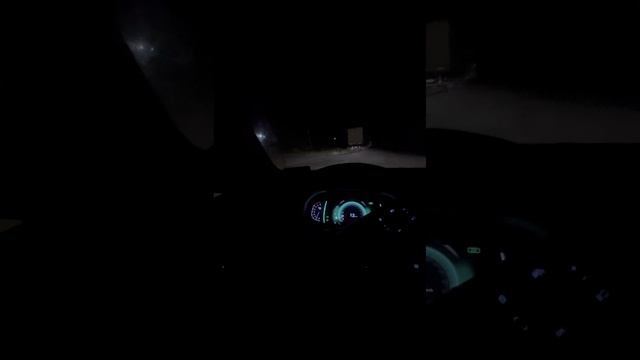 Работаем даже ночью🔥🔥MAGLOLIS