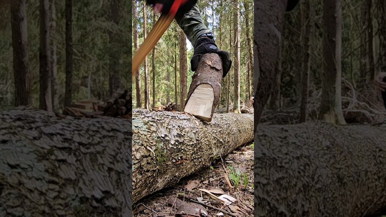Как избежать закусывания на лежачем бревне. смотреть онлайн