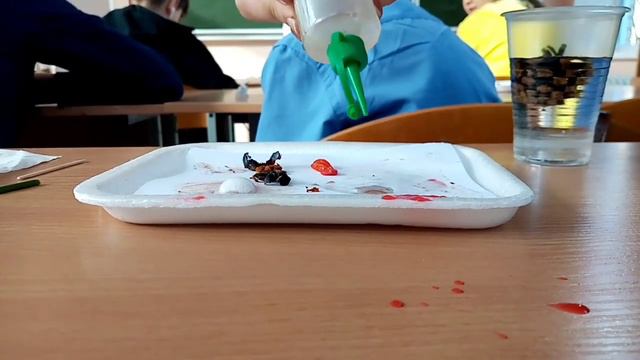 VLOG: ШКОЛА | БИОЛОГИЧЕСКИЙ МУЗЕЙ | ОПЫТЫ | ВЛОГ | ЭнКа смотреть онлайн