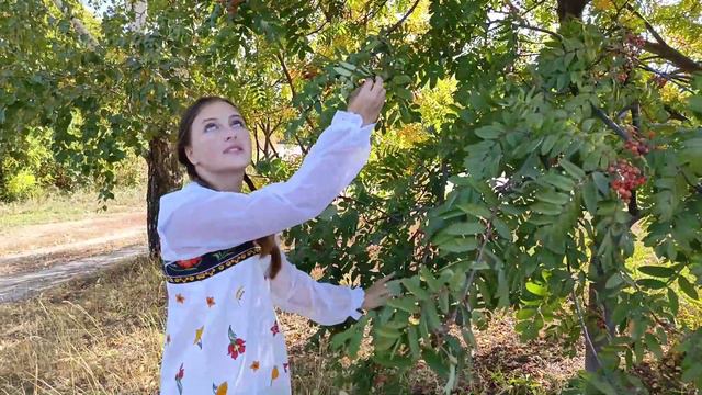 Флешмоб «Одна страна – одно будущее» смотреть онлайн