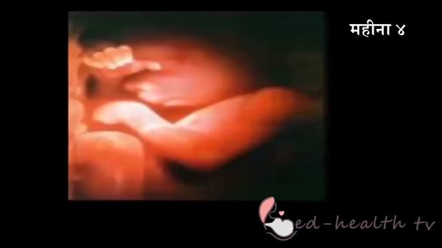 गर्भावस्था - महीना 4 | Pregnancy | Hindi | Month 4 | Week 14 to week 17 смотреть онлайн