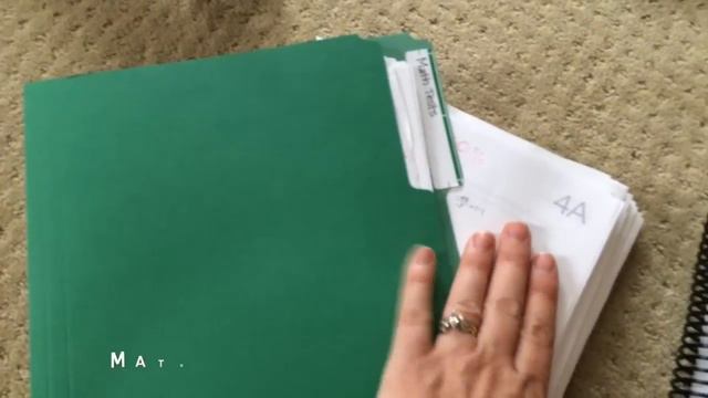 The End of Our School Year & the CURRICULUM We Used!- Plus How I Organize It смотреть онлайн